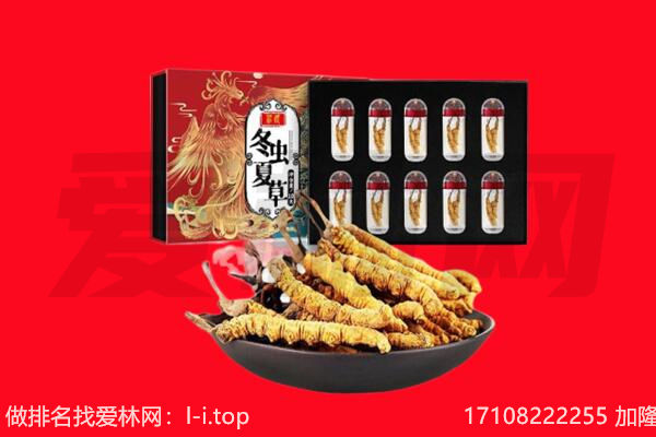 宣恩县回收虫草.jpg